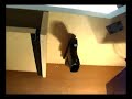 FAST Holster for Home Defense FAST Holster for Home Defense