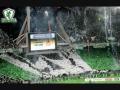PANATHINAIKOS ULTRAS