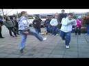 Der Spinnt Total^^