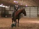 A short introduction for this 2yr old filly named Shes Ole Money. Learn about her breeding and the intentions we here at 3Drum have for her. Shown with Nicole Torturo of 3Drum.