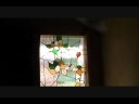 lindaglass08.wmv