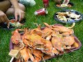 Crab circle