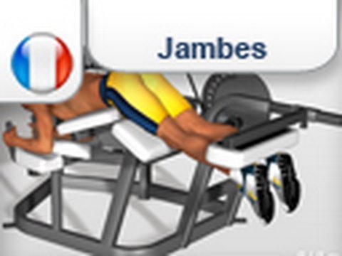 Exercices Jambes