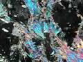 Mineralogy Deformation in Mica and Quartz