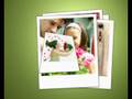 videos de flores e folhas
