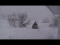 Blizzard February 16th 2011