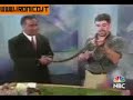 Serpente attacca conduttore