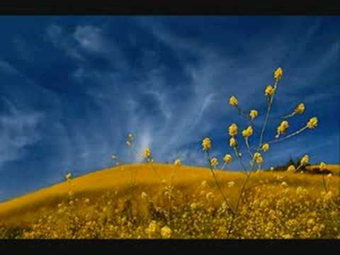 blu mar ten - santur