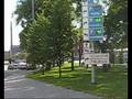 Tampereen hälyajovideoita / Respond videos from Tampere