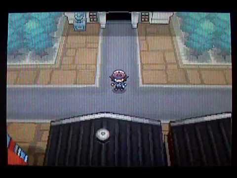 pokemon black pokemon black