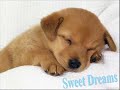 **Dreams**