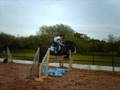 Cobs // They can do it too :D