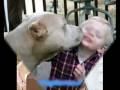 MOLOSSE pff tu parle.. !!! Ridicule :@