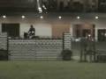 videos de Trakehner stallion Prelude By Mozart; ATA Jumper Stakes Level 10 (5'3')