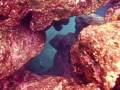 videos de Why do reefs matter?