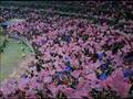Stade Francais-Stade Toulousain 2007