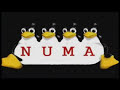 Balan - Sugar Tunes (Numa Numa)
