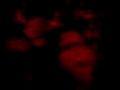 videos de campanilla campanilla!!