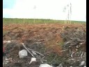 Avohakkuu