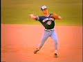 play-ball-a-fan-video-for-boards-of-canada-peacock-tail.html