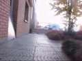 la leggenda del gatto straordinario  funny cat 