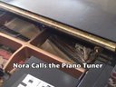 Nora Calls The Piano Tuner (www.ravenswingstudio.com)