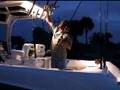 videos de Boston Whaler Introduces 3 new Outrages!