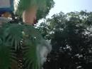 Disney Parade