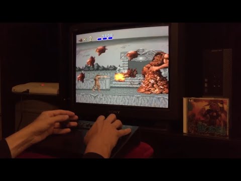 動画