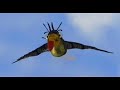 The Bird Stikes The Bird Stikes