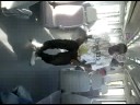 3bitt C-Walck