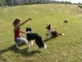 Boost et Speedy, Frisbee, Agility...JUST FUN!