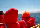 Cousteau\