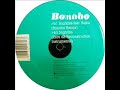 Bonobo ft. Bajka - Nightlite (Zero dB Reconstruction)