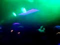 Paul OH In The Boomerangs - Magaluf 07