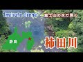 【1min. drone #101】静岡県清水町・柿田川～富士山の湧き水が流れる～