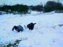 Much fun in the snow