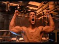 vidéo de van damme vidéo de van damme