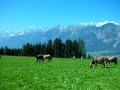 Almabtrieb - Telfes, Austria (Part 2)