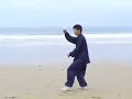 Taiji: Chen Tai Chi Cannon Fist (Pao Chui)
