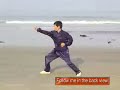 Taiji: Chen Tai Chi Cannon Fist (Pao Chui)