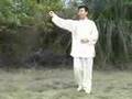 Taiji: Chen Tai Chi Cannon Fist (Pao Chui)