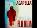 Flo Rida – Whistle ACAPELLA PARTIAL