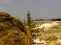 LOS ROQUES KITESURF PROWIND TEAM - 08-28