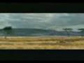 videos de Reh