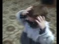 little cute baby dancing some ABBA songs (Gime Gime Gime ) ( parte 1 )