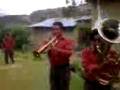 videos de LLipa