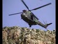 Le Puma Du Tchad Le Puma Du Tchad