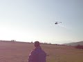 trex 600 nitro pro