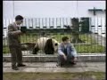Panda Attacks a Man